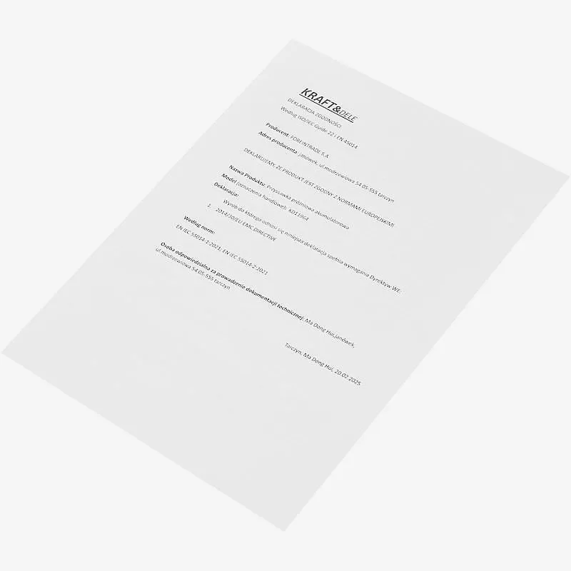 przyssawka-akumulatorowa-2000mm-200kg-kd11964 (9).webp